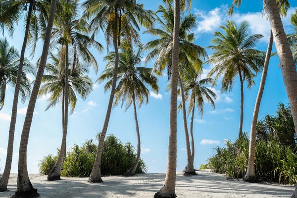 Comment organiser une visite des monastères en Géorgie sans frais?